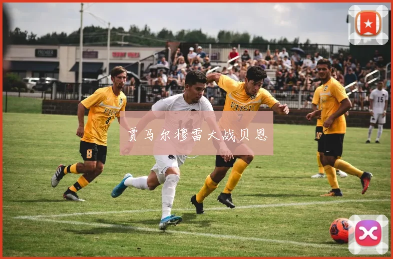 贾马尔穆雷大战贝恩