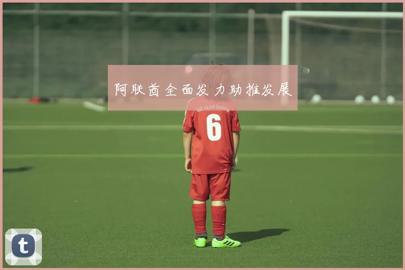 阿联酋全面发力助推发展