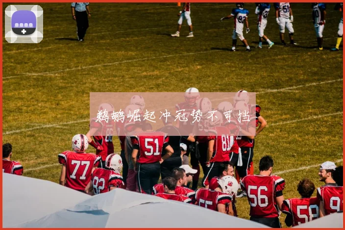 鹈鹕崛起冲冠势不可挡