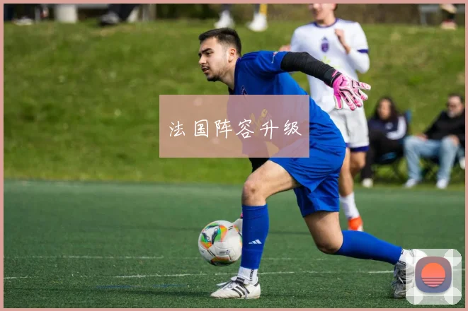 法国阵容升级