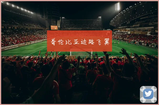 哥伦比亚边路飞翼