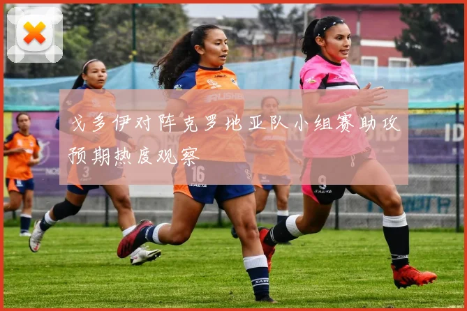 戈多伊对阵克罗地亚队小组赛助攻预期热度观察
