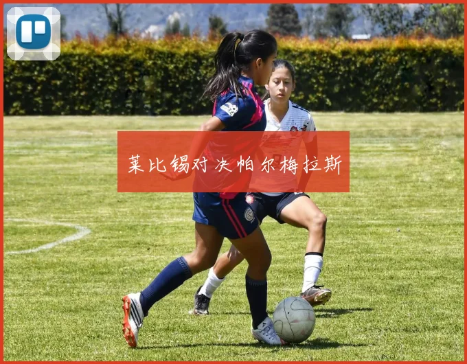 莱比锡对决帕尔梅拉斯