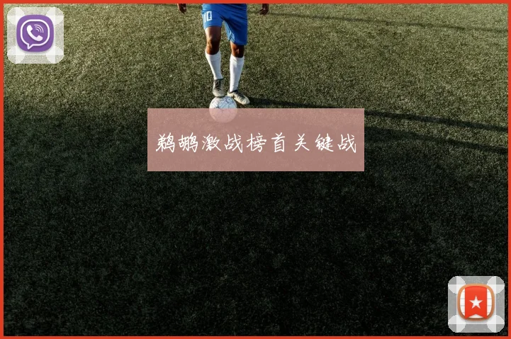 鹈鹕激战榜首关键战