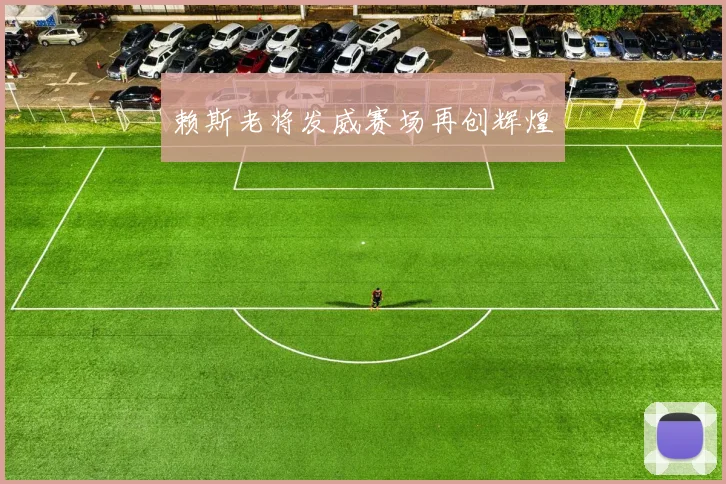 赖斯老将发威赛场再创辉煌