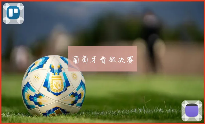 葡萄牙晋级决赛