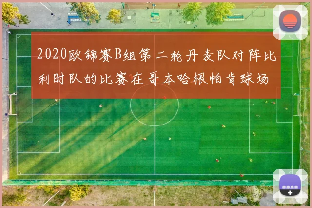 2020欧锦赛B组第二轮丹麦队对阵比利时队的比赛在哥本哈根帕肯球场打响