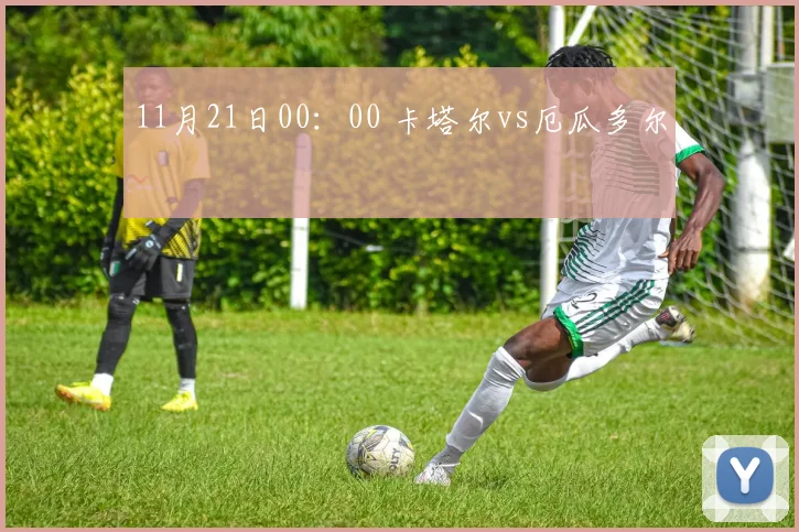 11月21日00：00 卡塔尔vs厄瓜多尔
