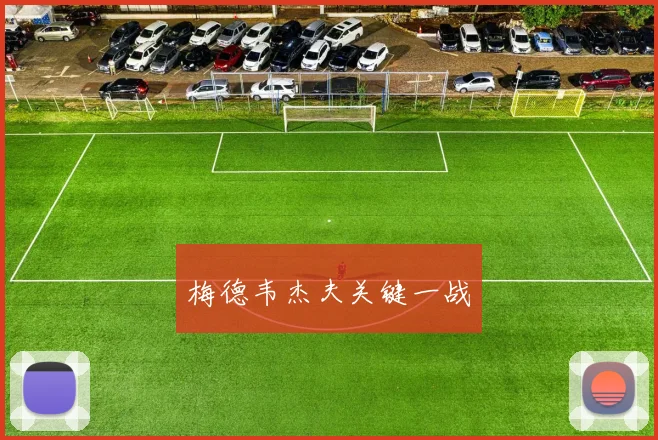 梅德韦杰夫关键一战