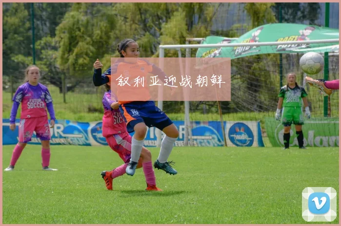 叙利亚迎战朝鲜