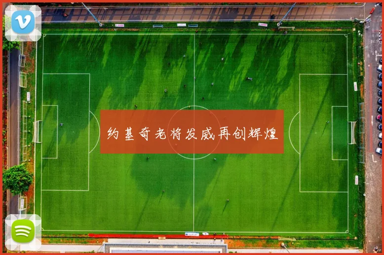 约基奇老将发威再创辉煌