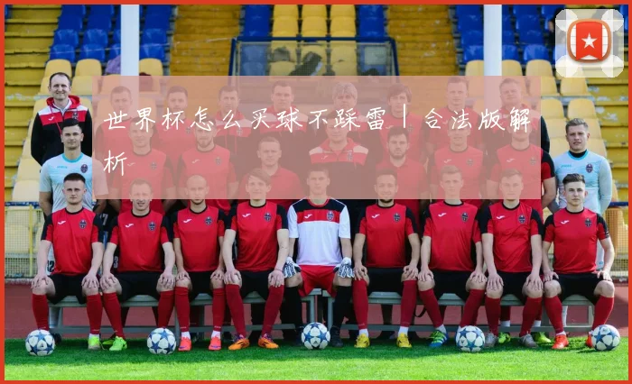世界杯怎么买球不踩雷｜合法版解析