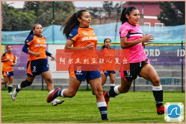 阿尔及利亚核心复出