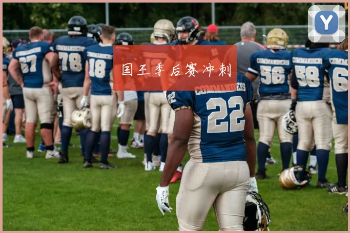 国王季后赛冲刺