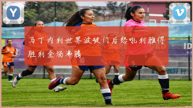 马丁内利世界波破门后怒吼利雅得胜利全场沸腾