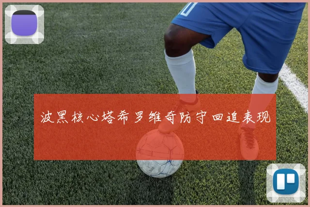 波黑核心塔希罗维奇防守回追表现