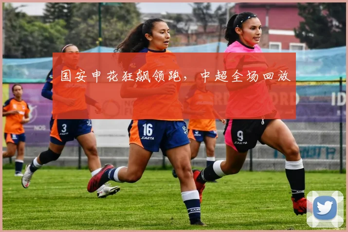 国安申花狂飙领跑,中超全场回放