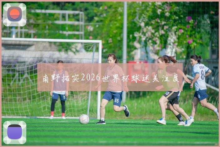 南野拓实2026世界杯球迷关注度