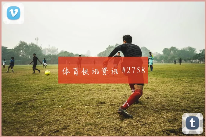 突尼斯vs瑞典2026世界杯后腰保护